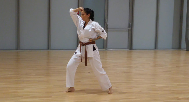 karate custines os-magnificpopup/katas heian-shodan-el.jpg